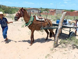 Profissão Repórter retrata a realidade da seca no Nordeste Brasileiro