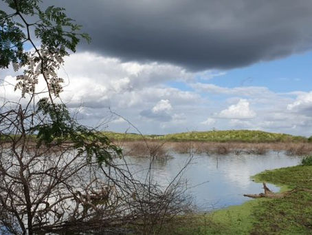 Levantamento aponta desaparecimento de 1.349 lagoas e açudes no Semiárido de Alagoas