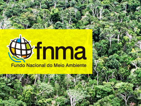 Você sabia? Há um Fundo com recursos públicos destinados a projetos socioambientais em território na