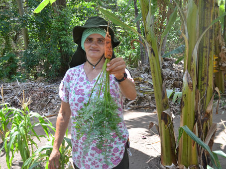 Primeiro ano do Agroecologia nos Municípios apontam avanços em meio à crises que o país vivencia