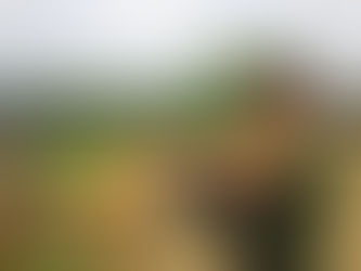 Experiências bem sucedidas na Caatinga serão apresentadas na Alepe