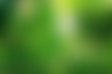Natureza sistêmica da realidade e sustentabilidade