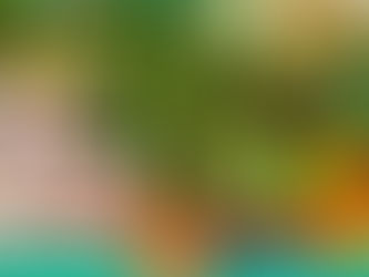 ‘Quitandas da Borborema’ será rede de comercialização da Agricultura Familiar