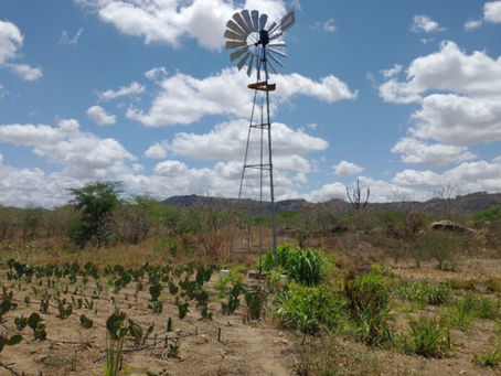 Nova plataforma reúne experiências com energia sustentável no Semiárido