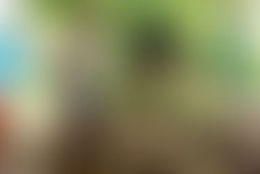 Projetos fomentarão a compostagem no país