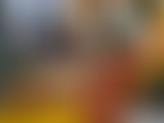 CAMPANHA “VOCÊ MUDA COM MUDAS” DA ONG SABIÁ