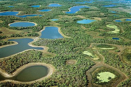 Estratégia Nacional de Conservação e Uso Sustentável das Áreas Úmidas do Brasil será aprimorada