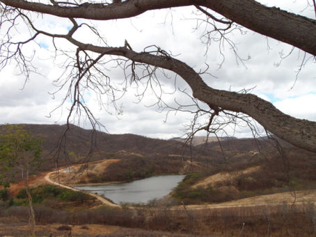 Evento on-line vai discutir Mudanças Climáticas e Desertificação na Caatinga
