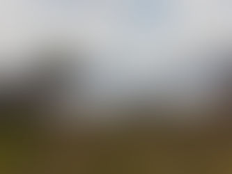 Amazônias no Nordeste: incêndios na Caatinga