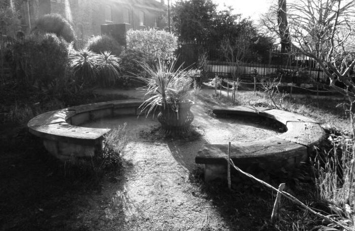 MB-Eden-Gardens-sunlight-Feb-5th-2021-scaled-e1615739653599.jpeg