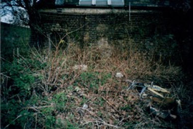 Eden Garden 1 (1).jpg