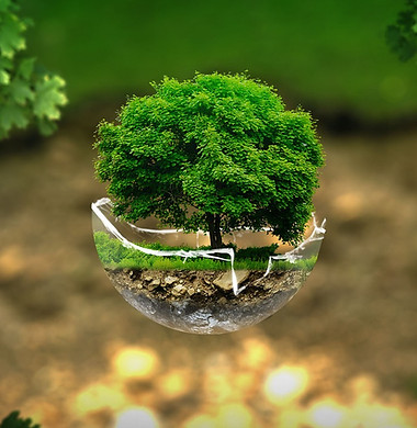 environment-2196690_1280.jpg