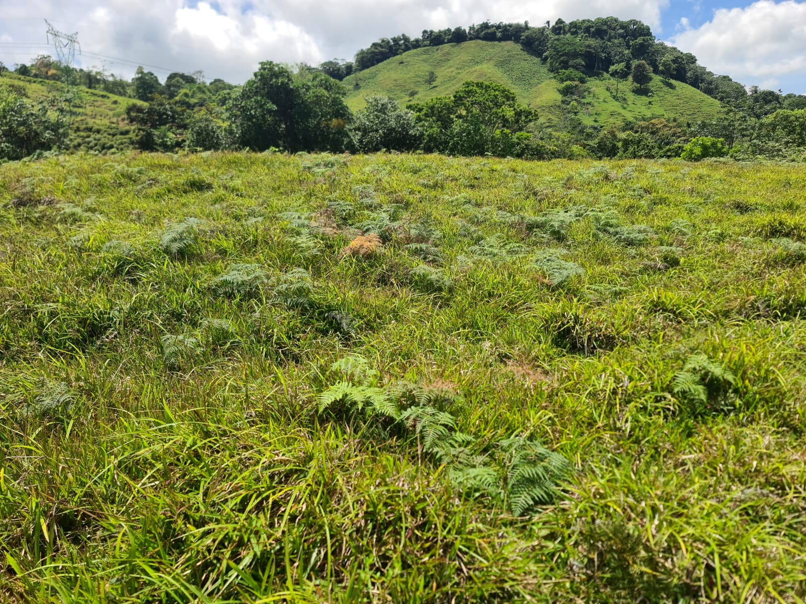 Beautiful 7942 m2 (1,96 acre) Lot Lake View in Nuevo Arenal 