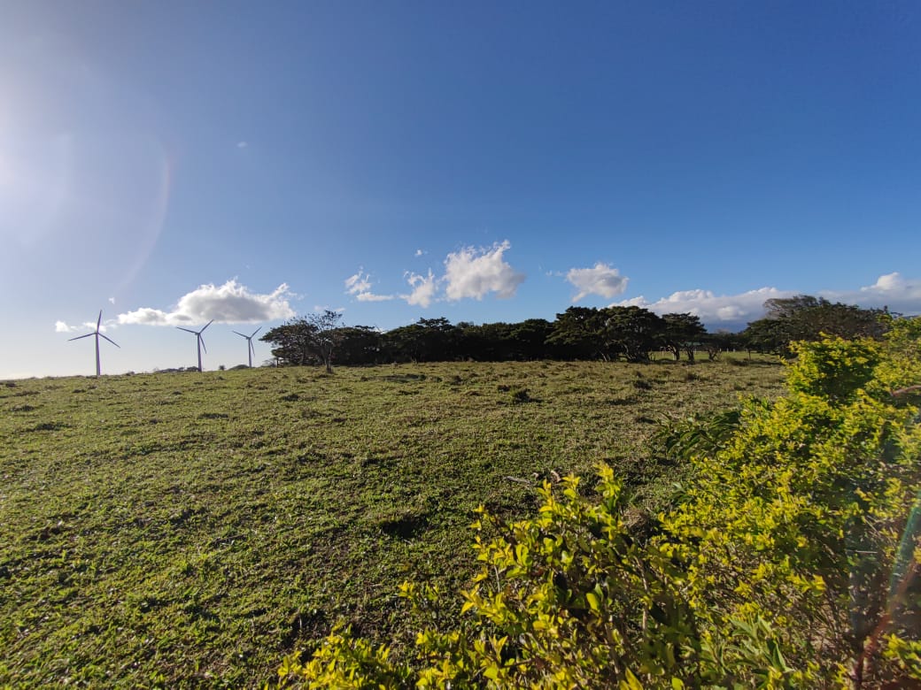 Beautiful, 6194 M2 (1.53 acres) Building Lot In Tierras Morenas Tilarán