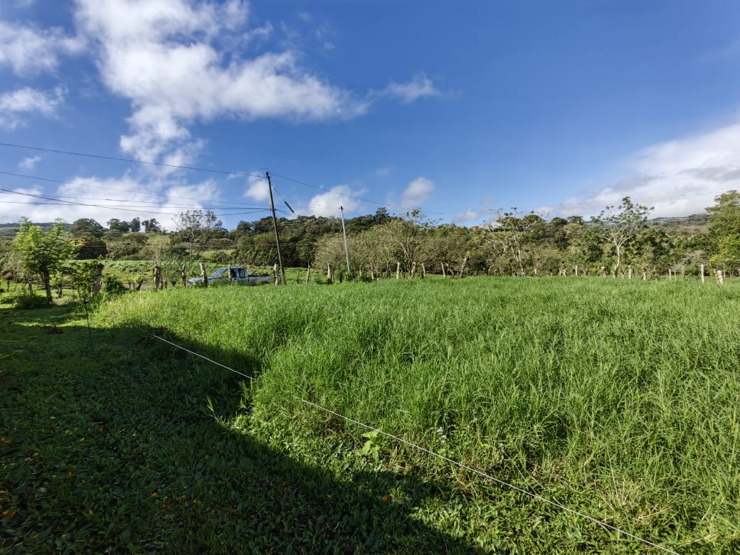 Lot w/ Stunning Views: 1,775 m2 Overlooking Lake Arenal & Tenorio Volcano