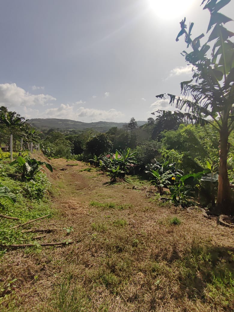 Lovely1,903 m3 (0.47 Acre) Near Lake Arenal in  Tronadora