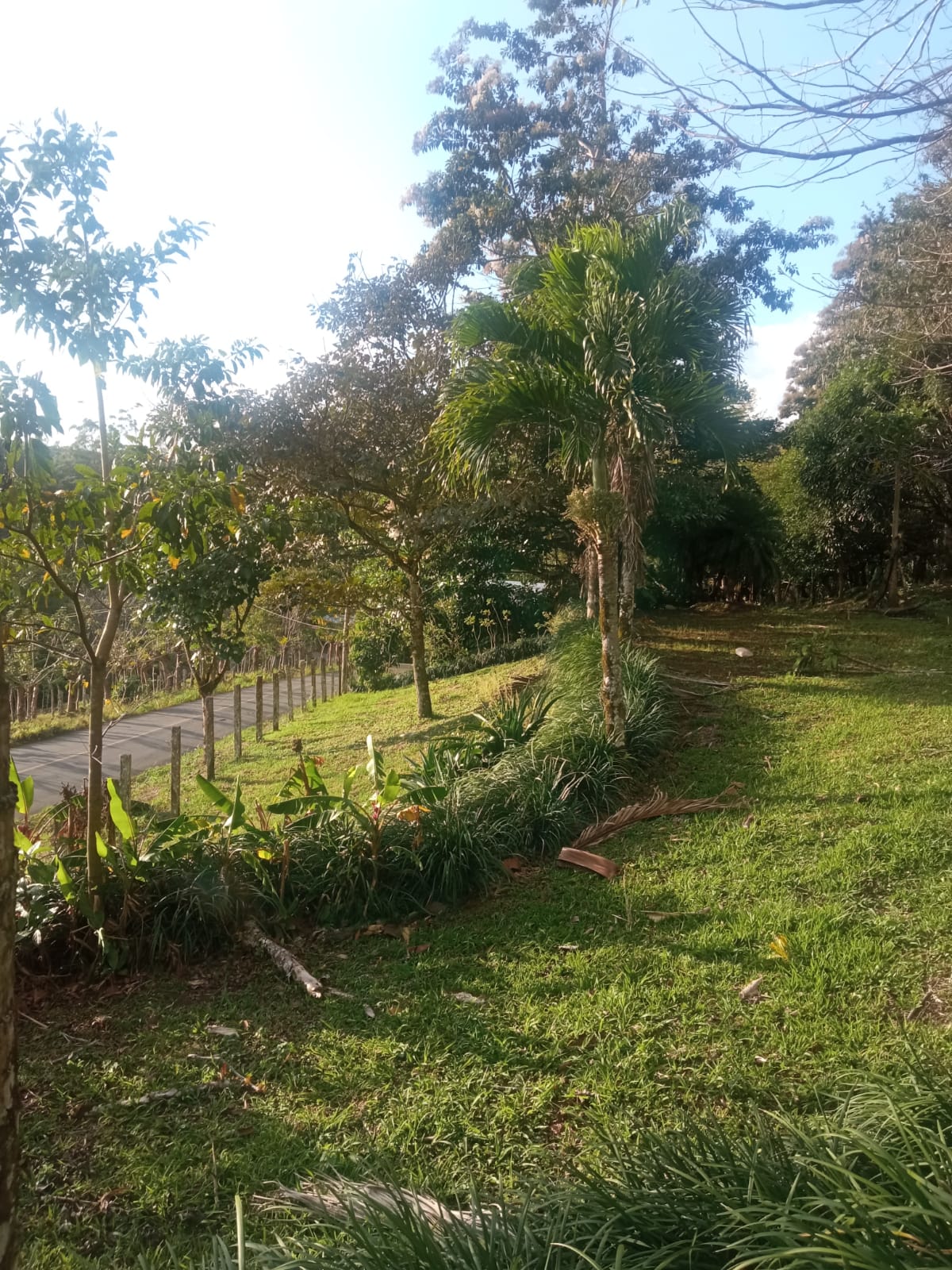 Beautiful, 1407 m2 (0,34 acres) Lot in Parcelas de Quebrada Azul, Tilarán