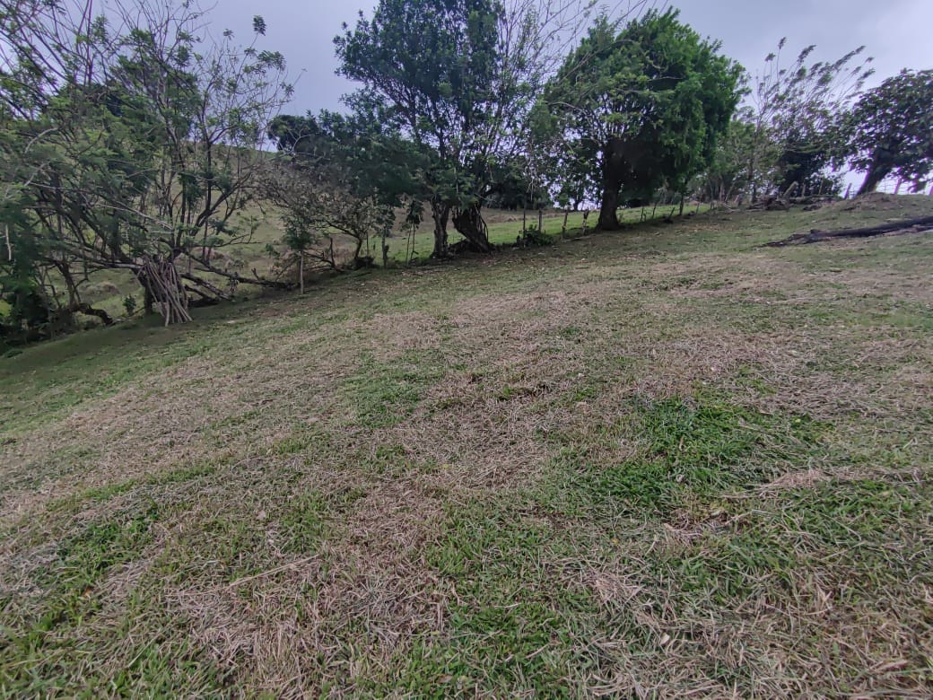 Gorgeous 701 m2 (0.17 Acre) lot with Lake Arenal and Volcano view in Tronadora