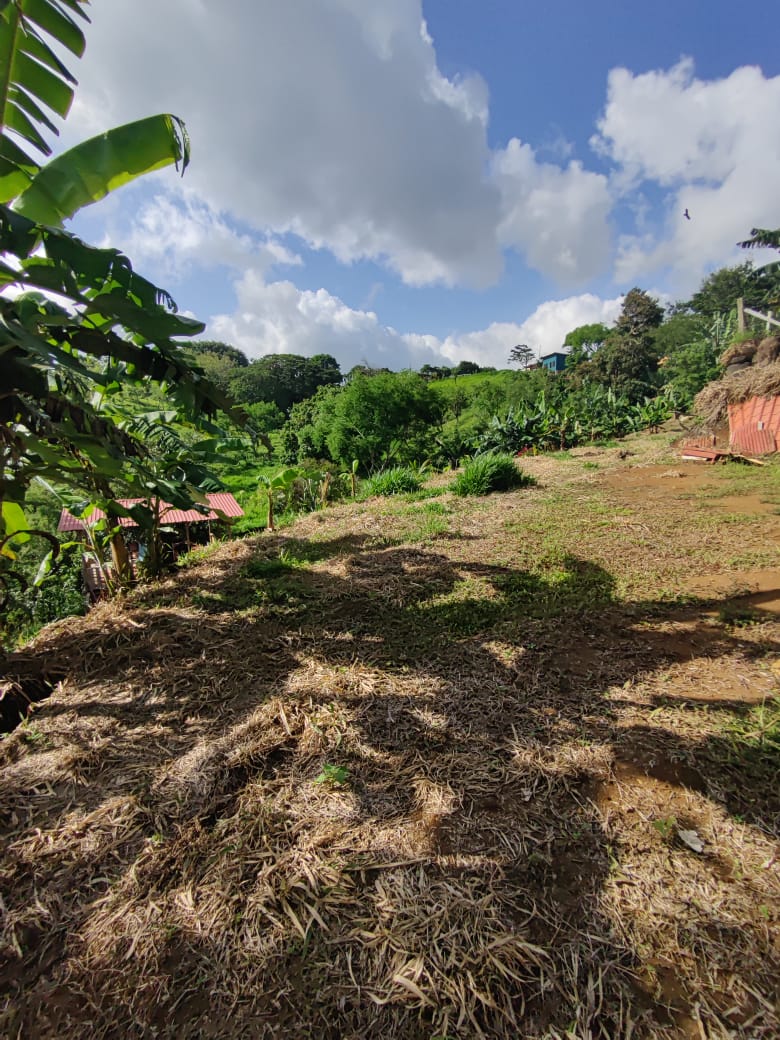 Lovely1,903 m3 (0.47 Acre) Near Lake Arenal in  Tronadora
