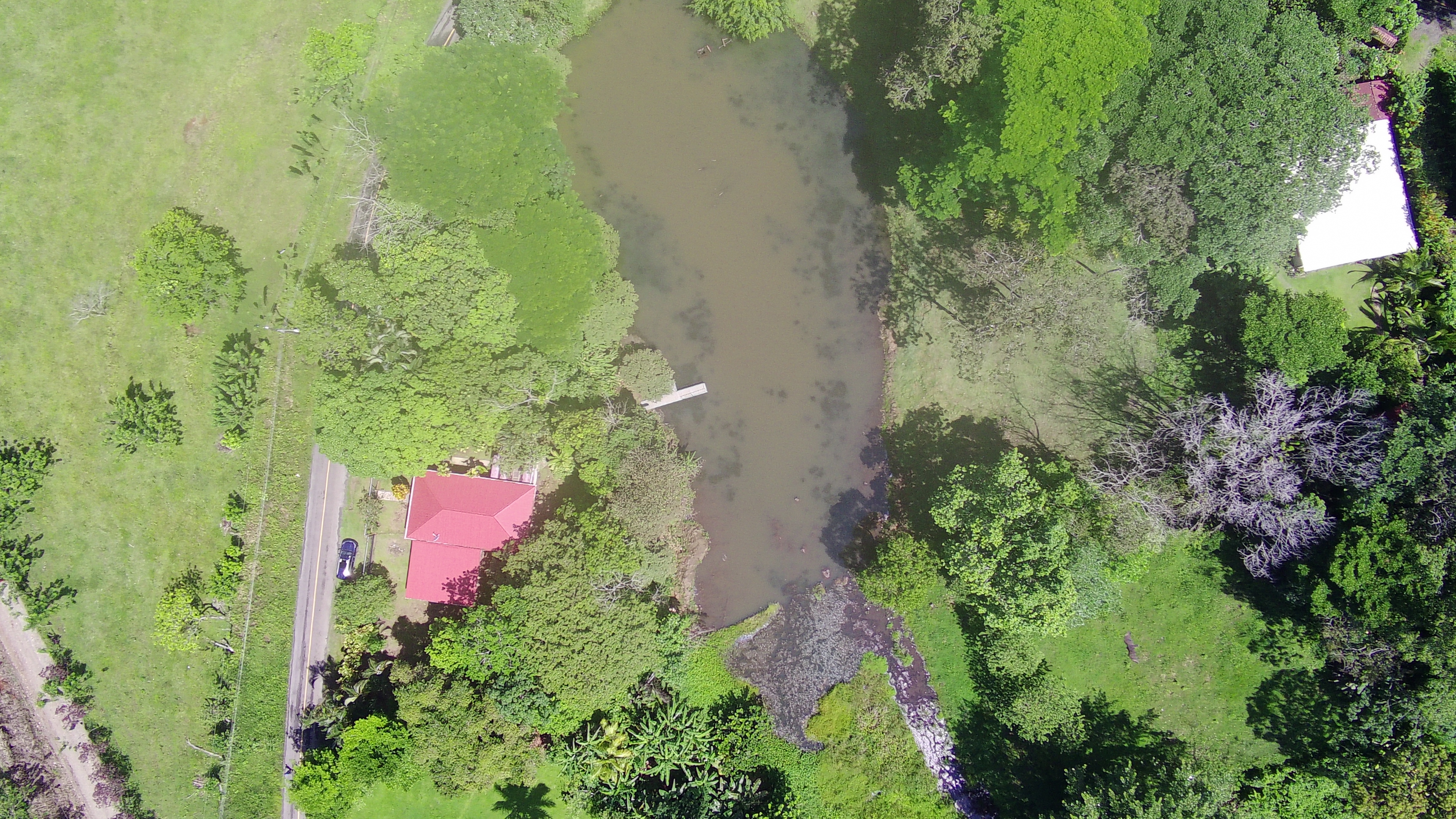 Beautiful Home 2BD 1BA in a 19424.9 m2 (4.8 Acre) Lot w/ Private Spring 