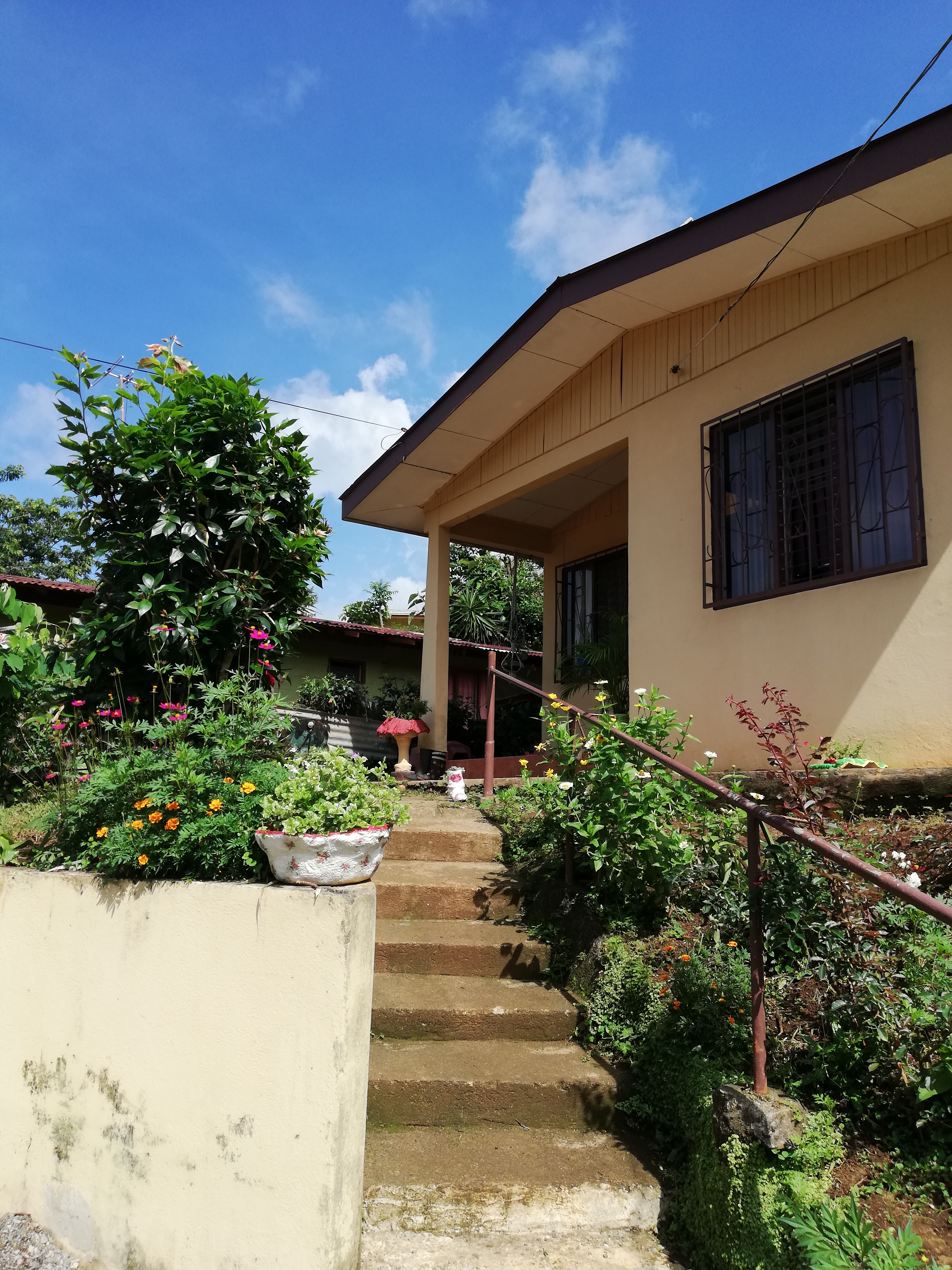 Lovely, 2 Bedroom, 1 Bathroom + Den, Tico Style Home in Rio Piedras 