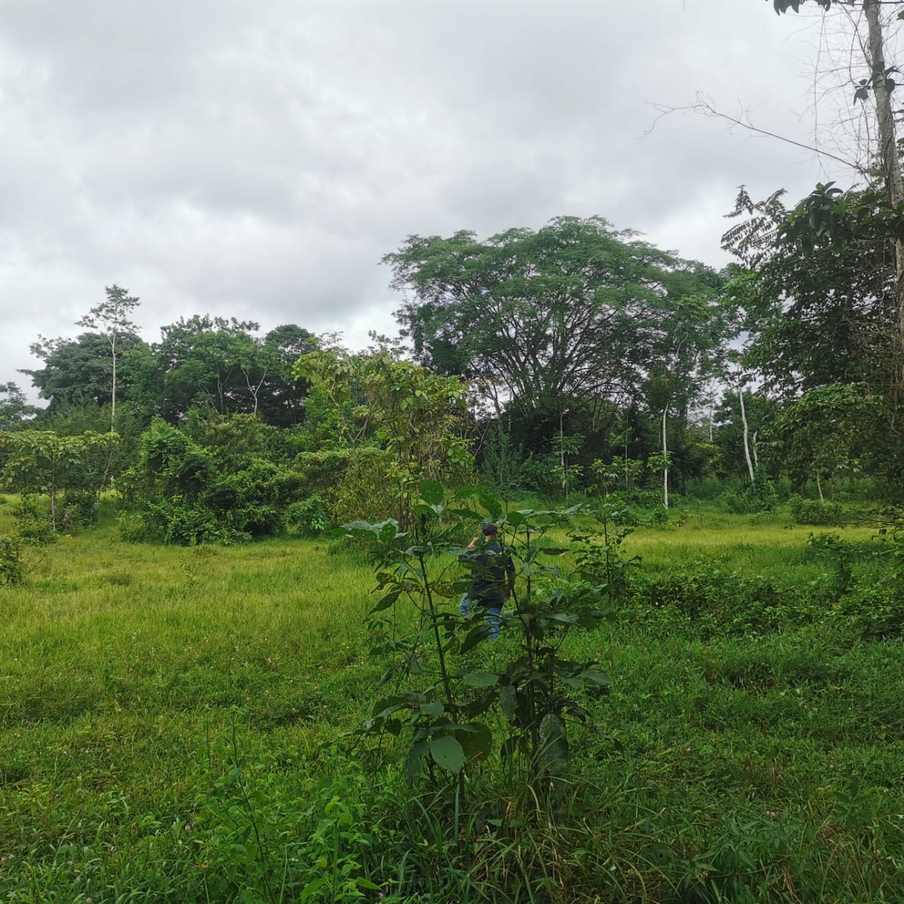 7.1-Hectare Lot w/ Private Well & Development Potential in Upala