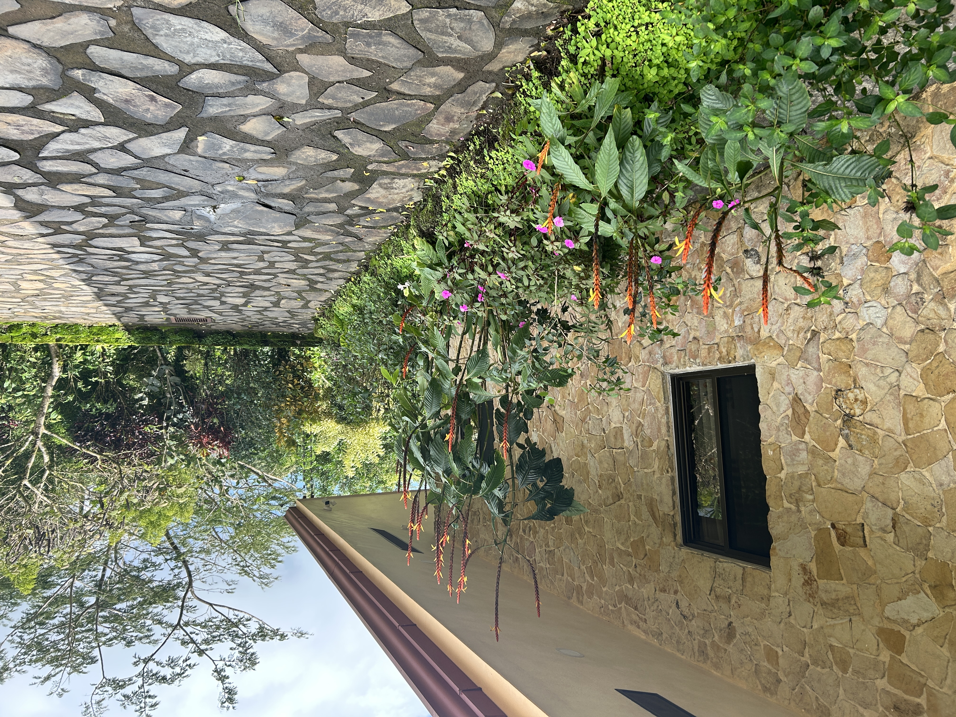 Charming 3-Bedroom Home with Guest House & Stunning Lake Arenal Views 