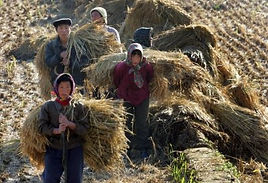 Peasants were near the bottom of the Qin