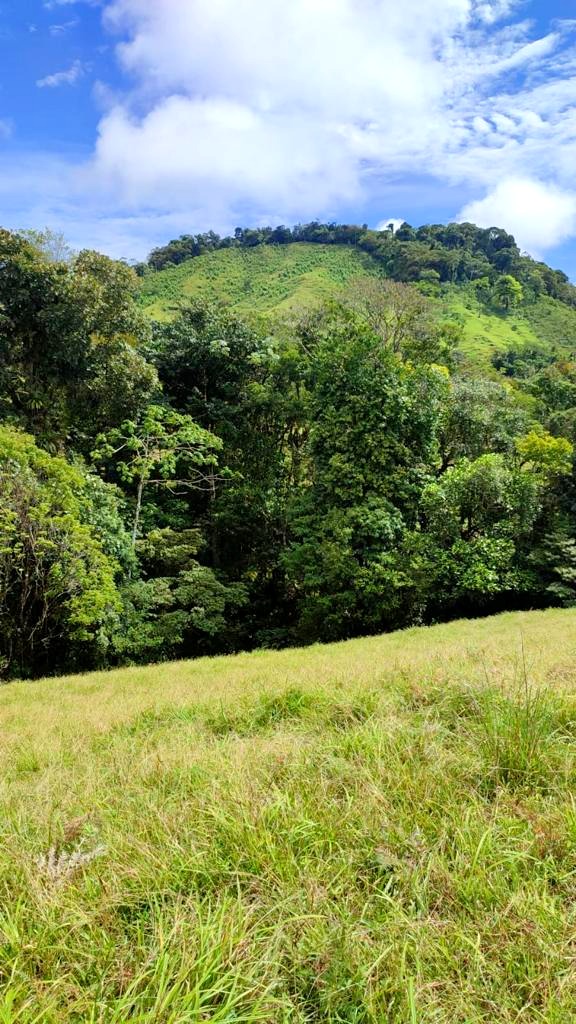 Gorgeous, 4855 m2 (1,19 acre) lot with Lake View in San Antonio, Nuevo Arenal