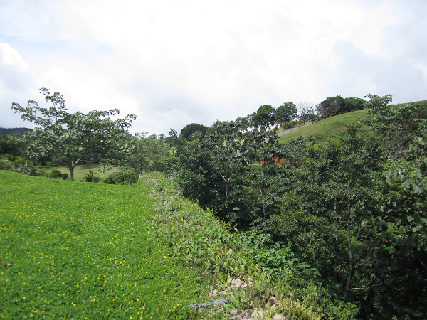 1,30 Acre+ Lake View Lot in Marina Community In Rio Piedras