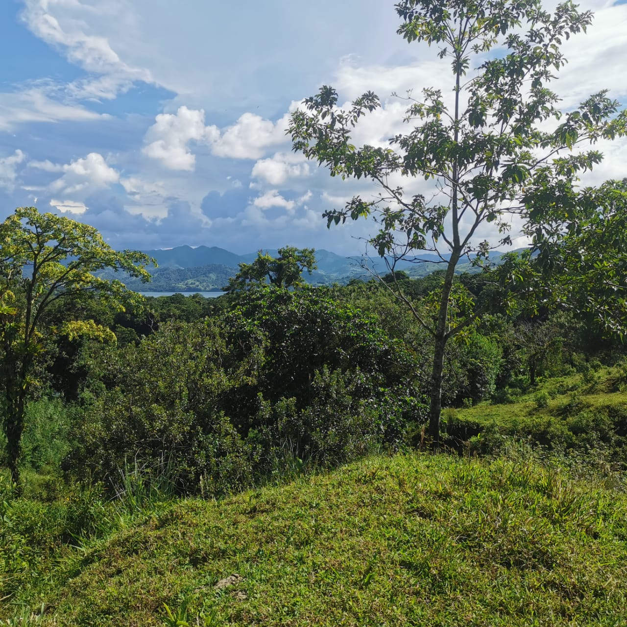 Exceptional 14,445 m² Lot in La Unión, Arenal – Views of Lake Arenal