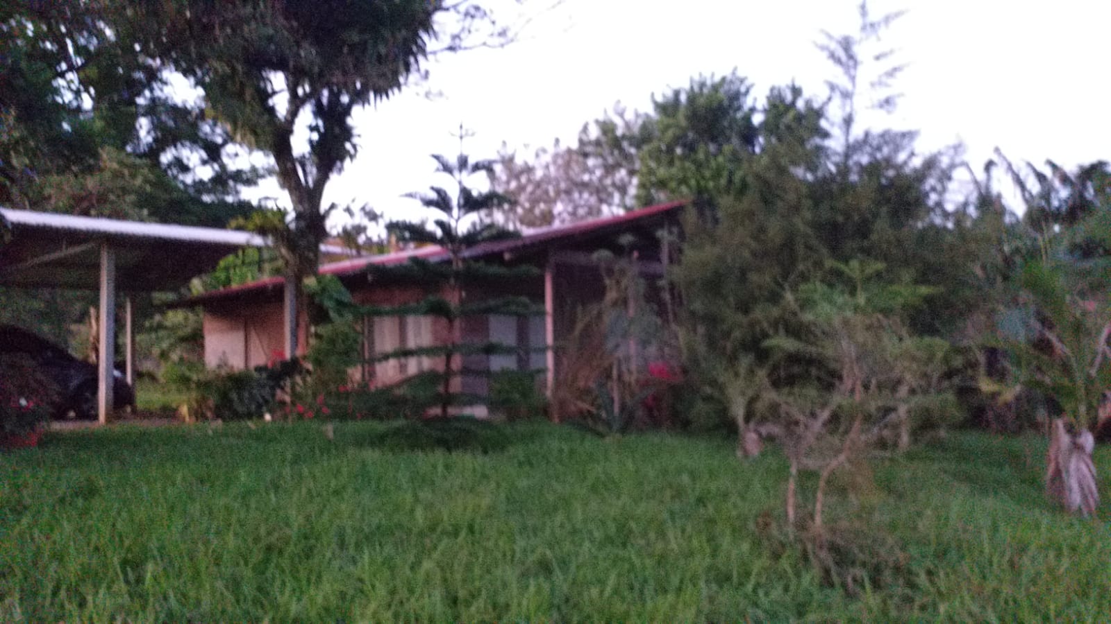 Lovely Studio Cabin on a 5,447 m2 Volcano View lot in Rio Naranjo