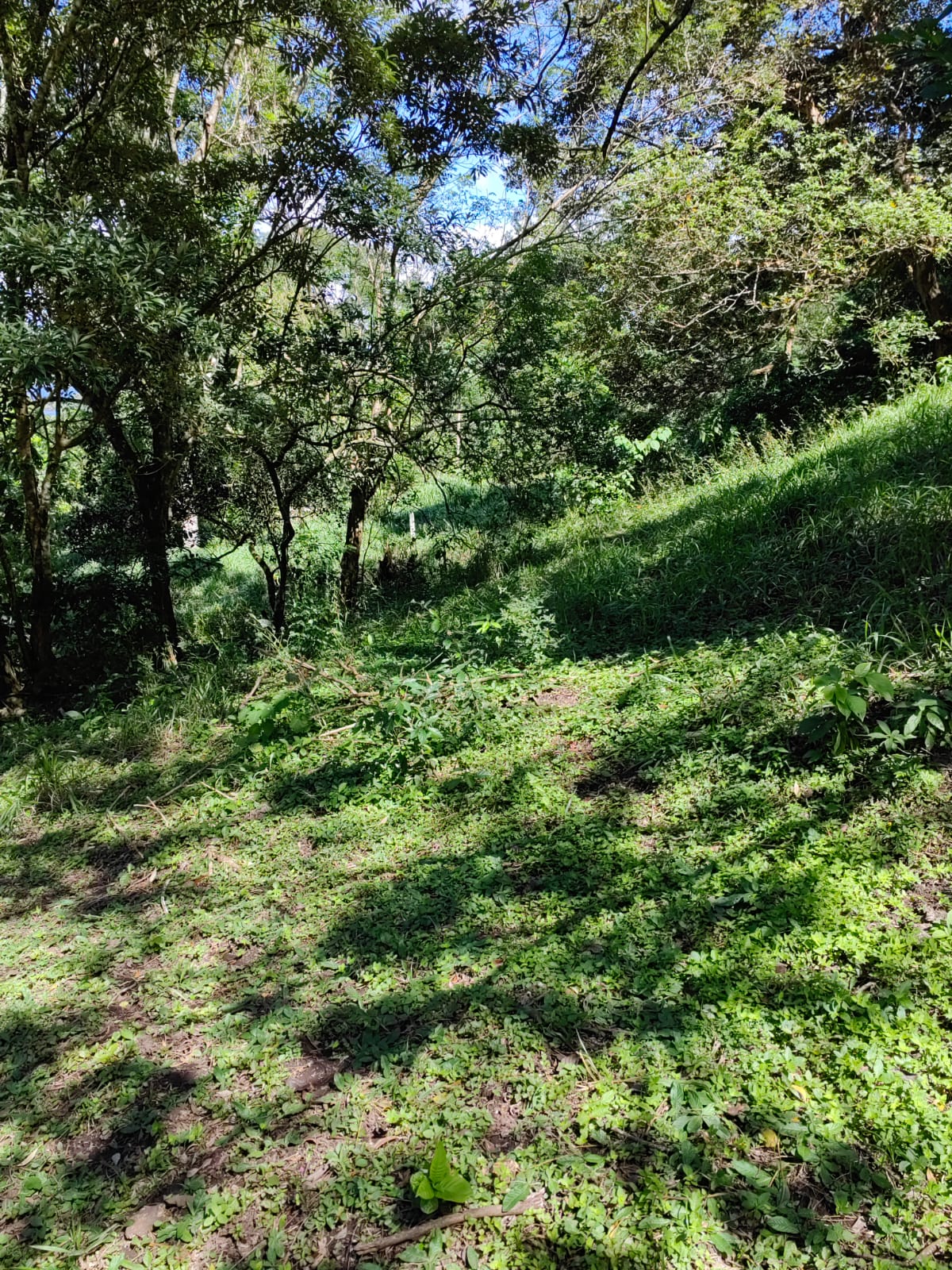 Large Lake view lot of 12,159 square meters in San Luis, Tilarán 