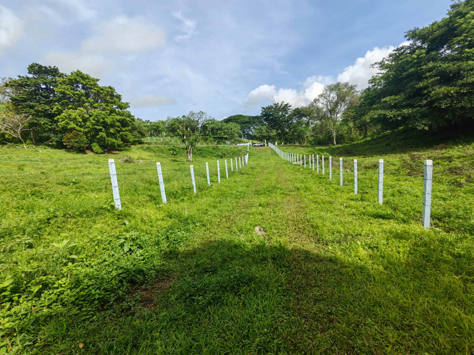 La Jolla Tronadora Prestige Homesites