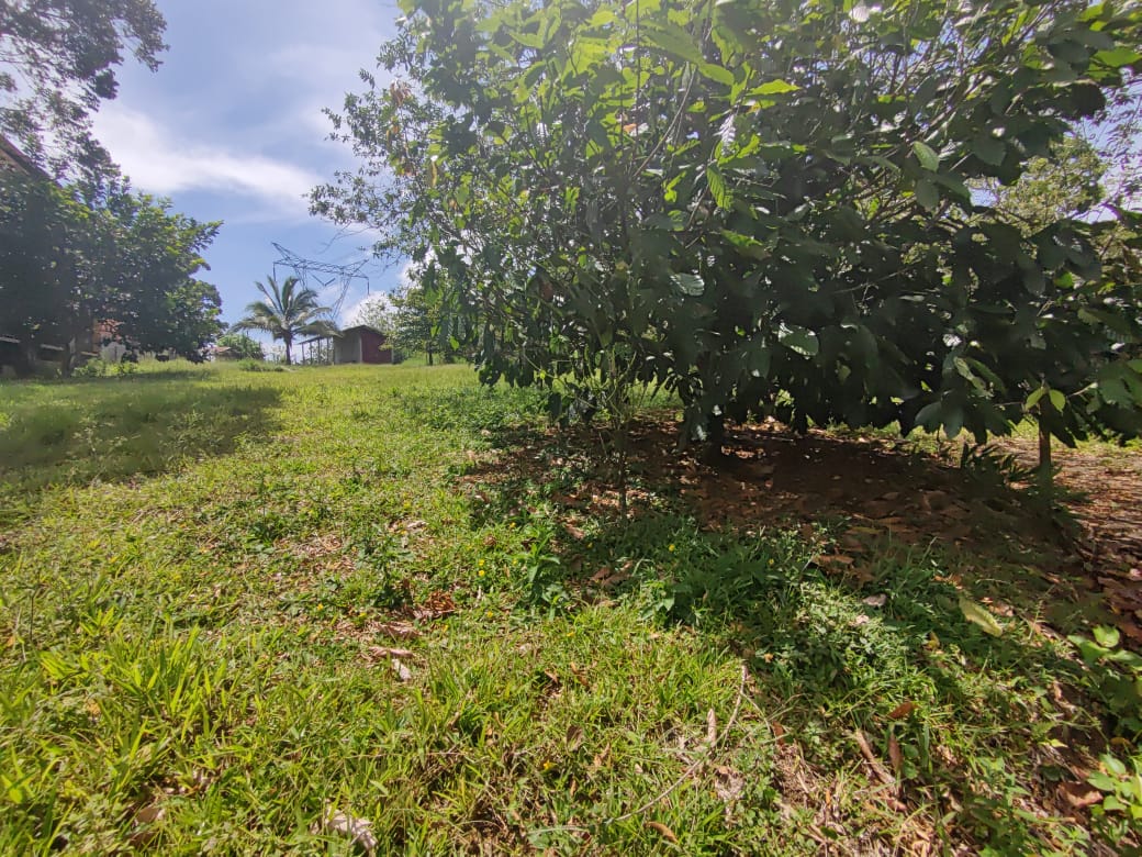 Lovely, 1322 m2 Lot (0,32 acre) in Cuidad Quesada, Alajuela