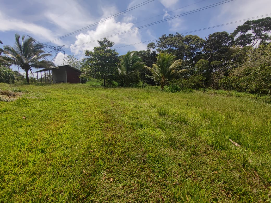 Lovely, 1322 m2 Lot (0,32 acre) in Cuidad Quesada, Alajuela