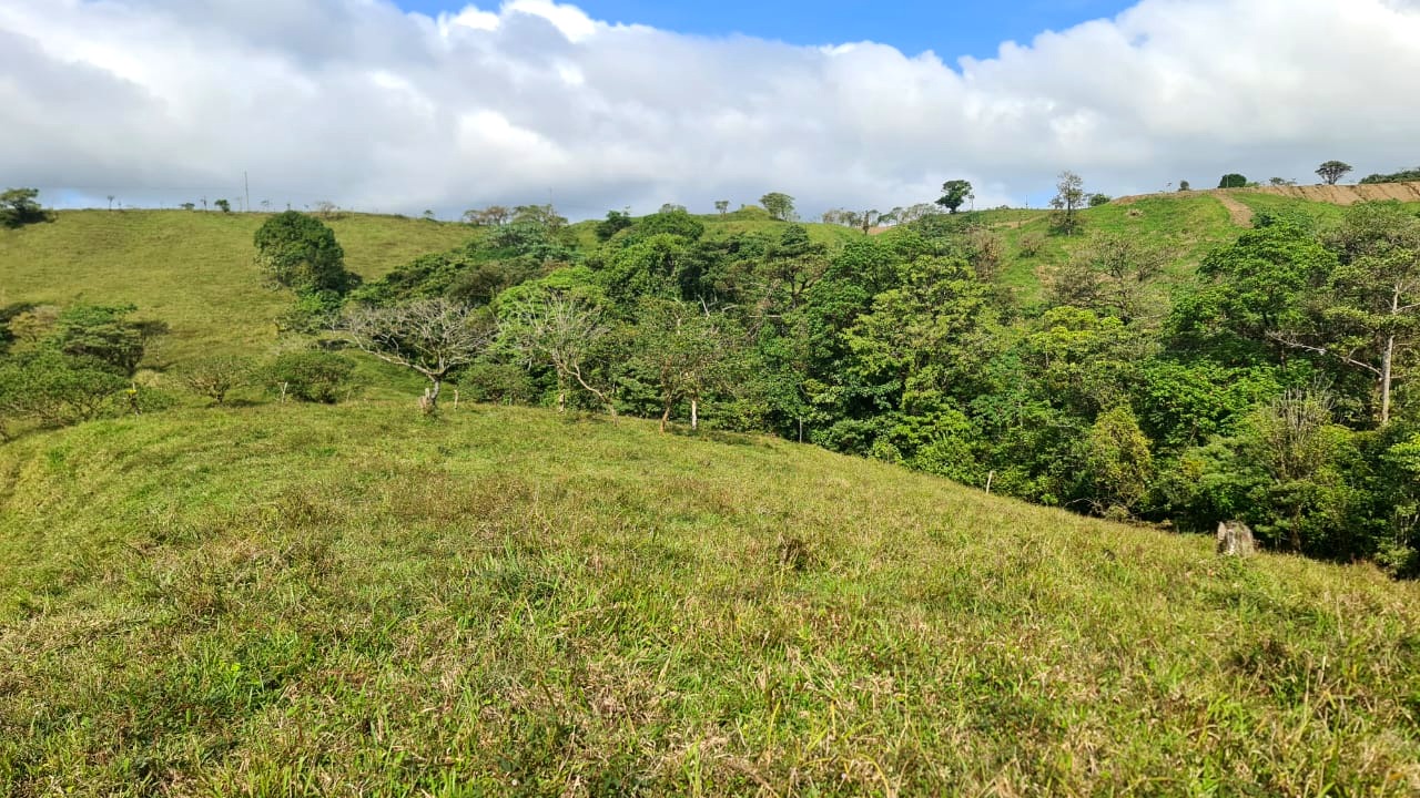 Amazing Opportunity, 2 Hectare, Lake View Parcel in Nuevo Arenal