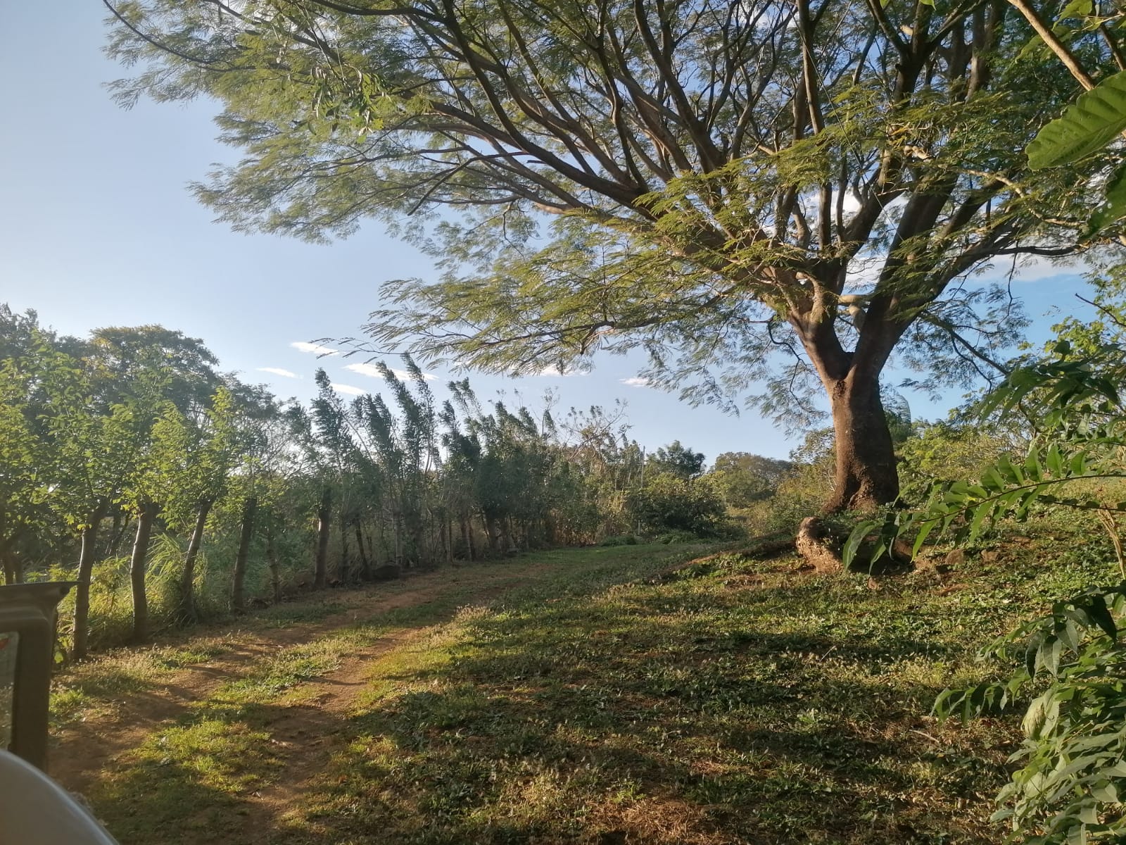 Nature Lover: 5,121 m2 Lot with Mountain Views and Lush Fruit Orchard