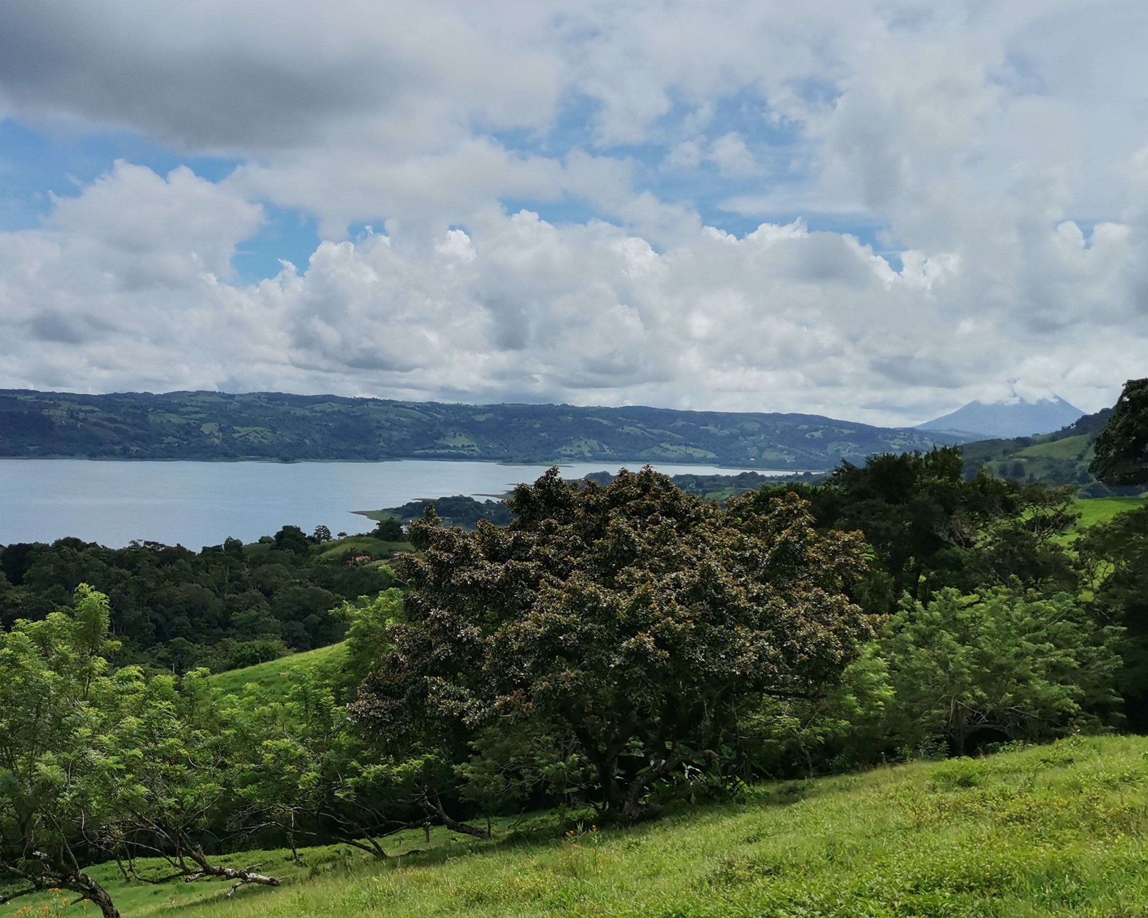 Magnificent 24,811m2 Lake and Volcano View Parcel with Huge Views in Tronadora
