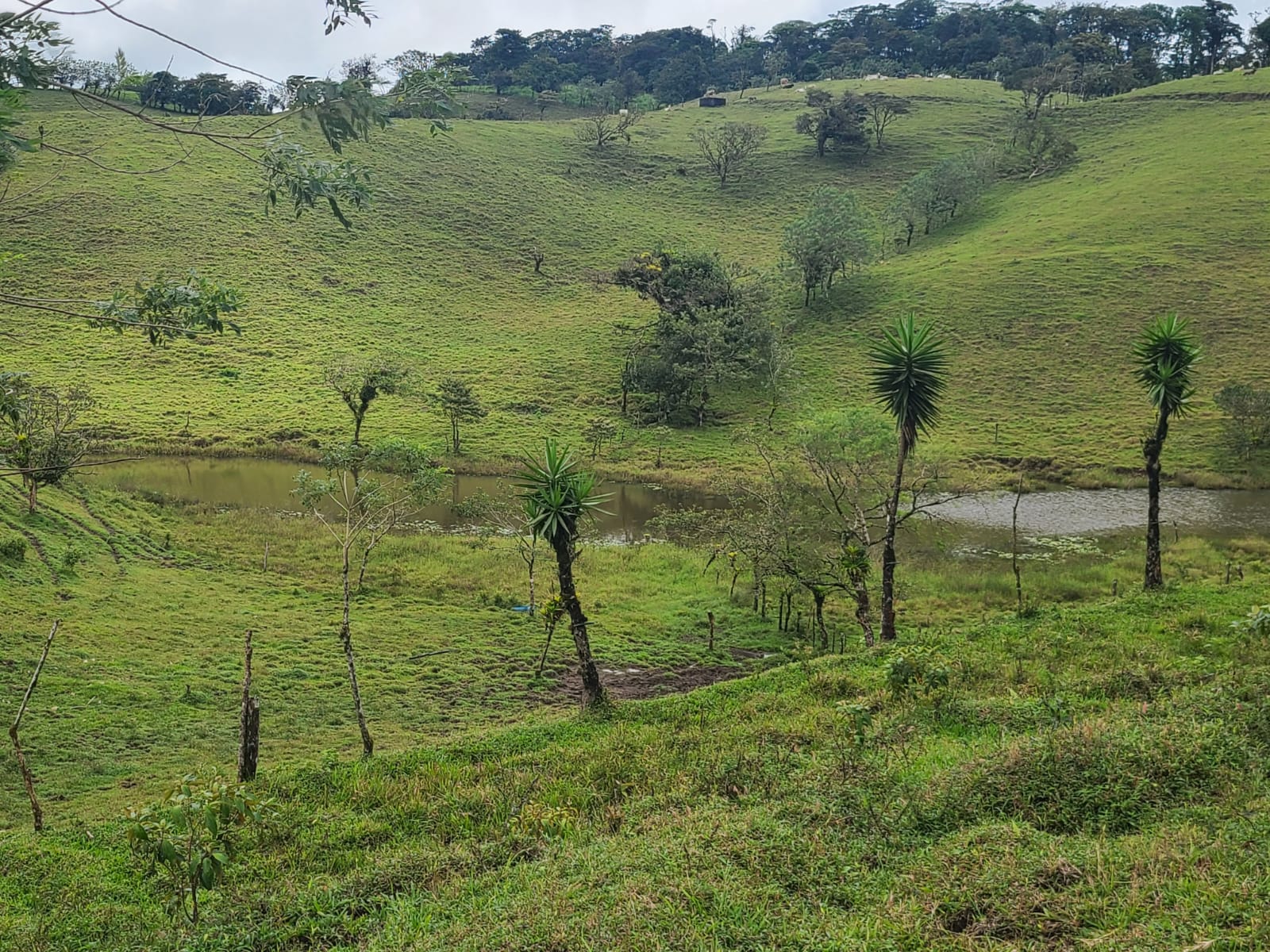 Spectacular 105-Hectare Lot with Lakes, Mountain Views, & Natural Resources 