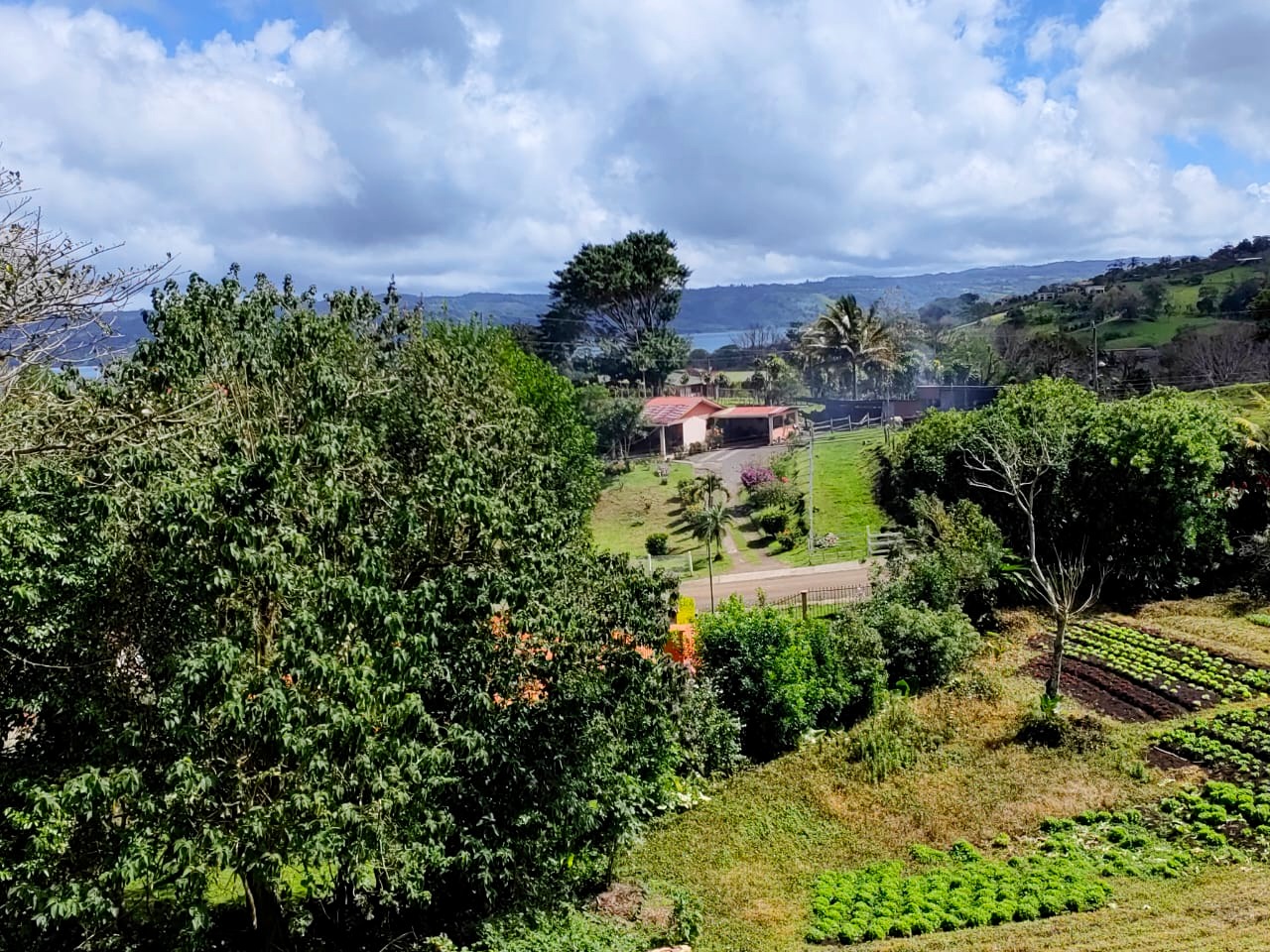 Beautiful 2932 m2 lot with Lake Arenal View in Tronadora 