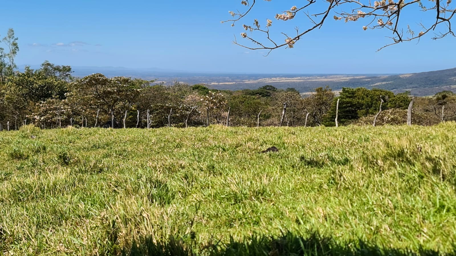 10,000 M2 (2.47 Acre) Lot with Volcano View in Nueva Guatemala