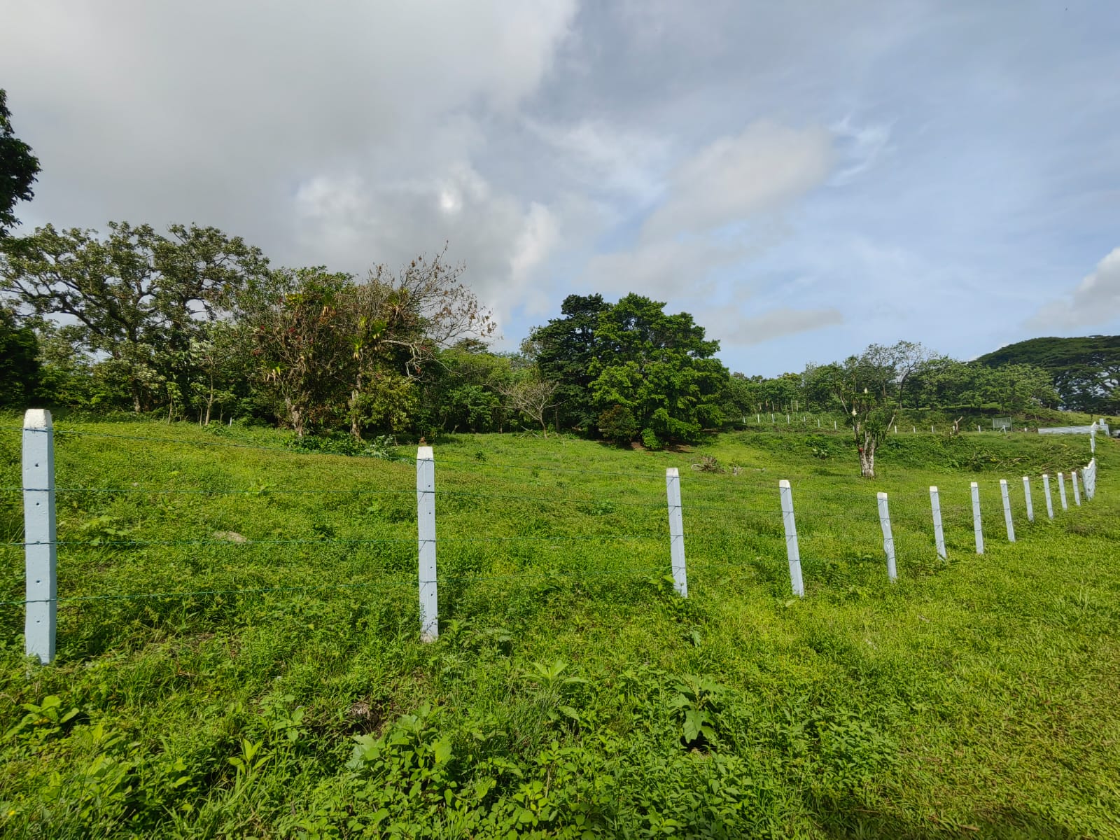 La Jolla Tronadora Prestige Homesites