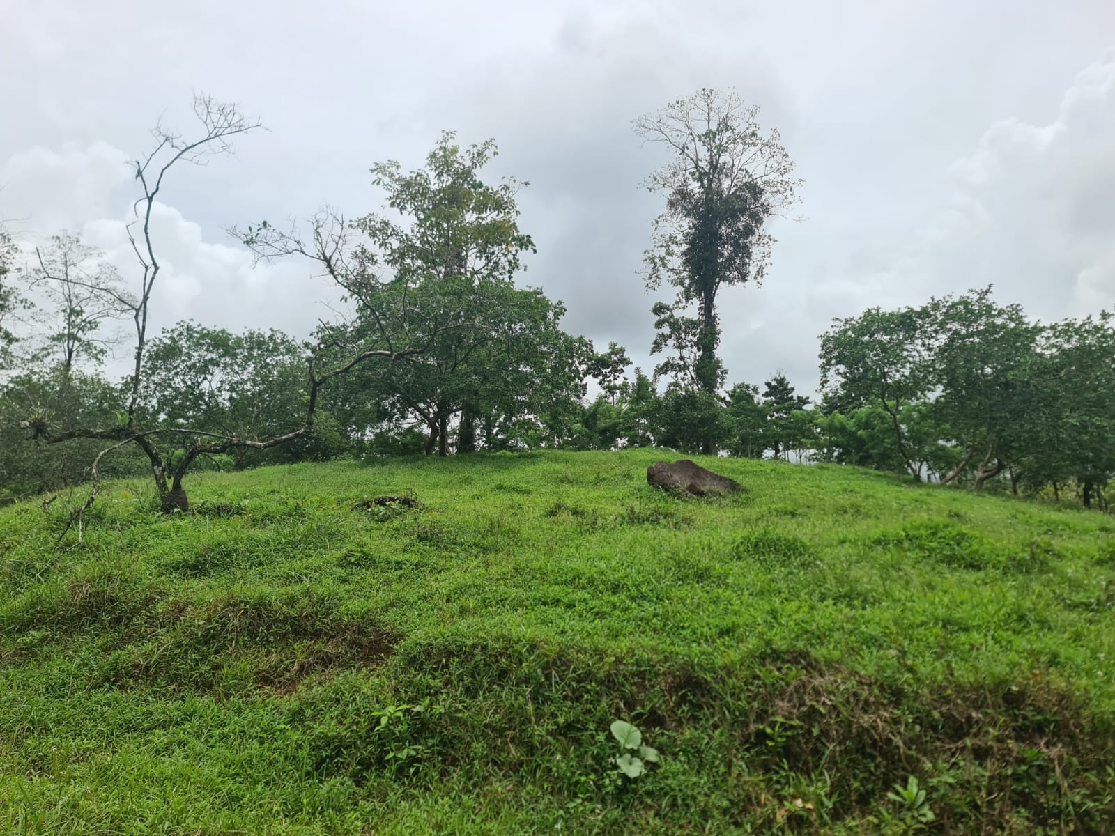 10,500 M2 (2.59 Acres) Lot with a Creek in Río Celeste