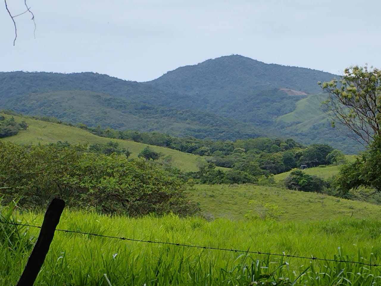 Expansive 30,229 m² (7.46 Acre) Lot w/ House & Scenic Views in Tierras Morenas