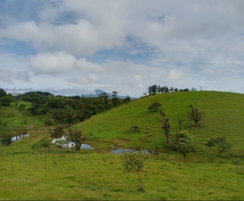 Beautiful 7-hectare lot with breathtaking views in Arenal