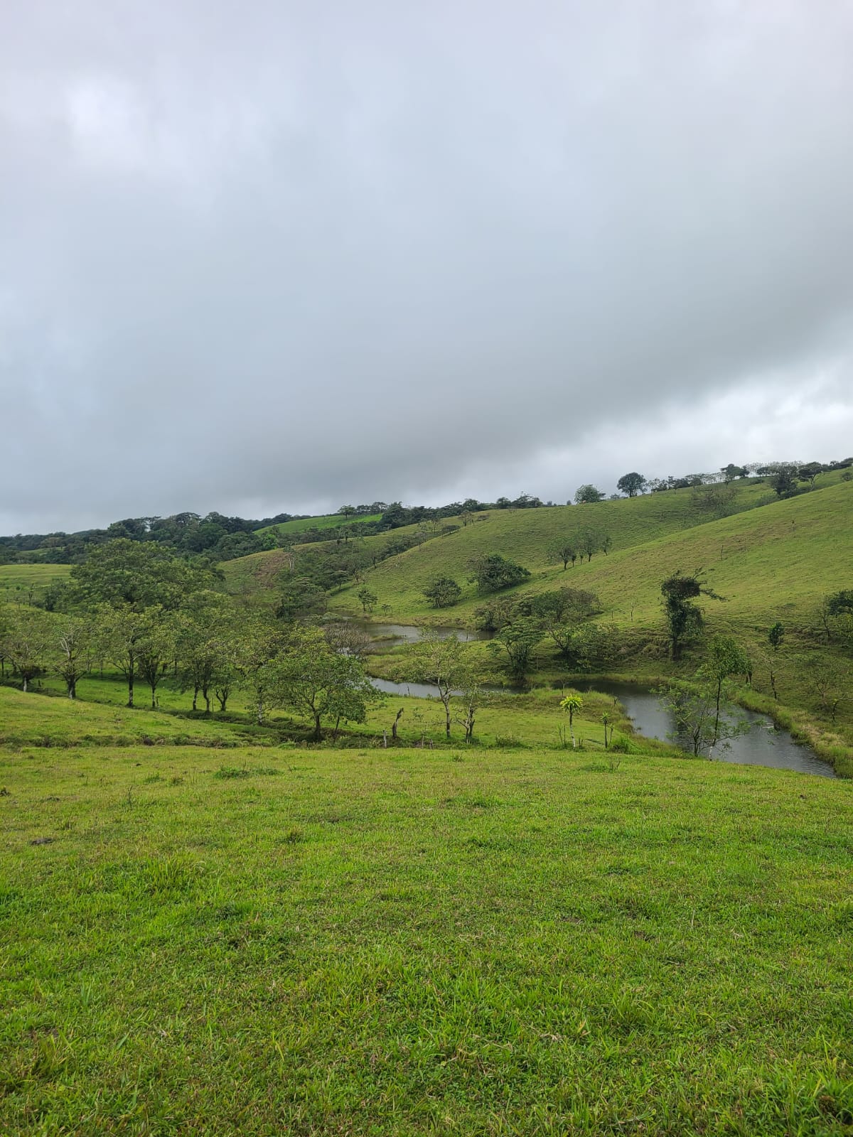 Spectacular 105-Hectare Lot with Lakes, Mountain Views, & Natural Resources 