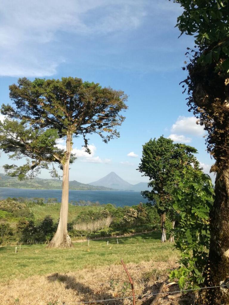 87.731 m2 Farm with Spectacular Lake and Volcano Views in Viejo Arenal