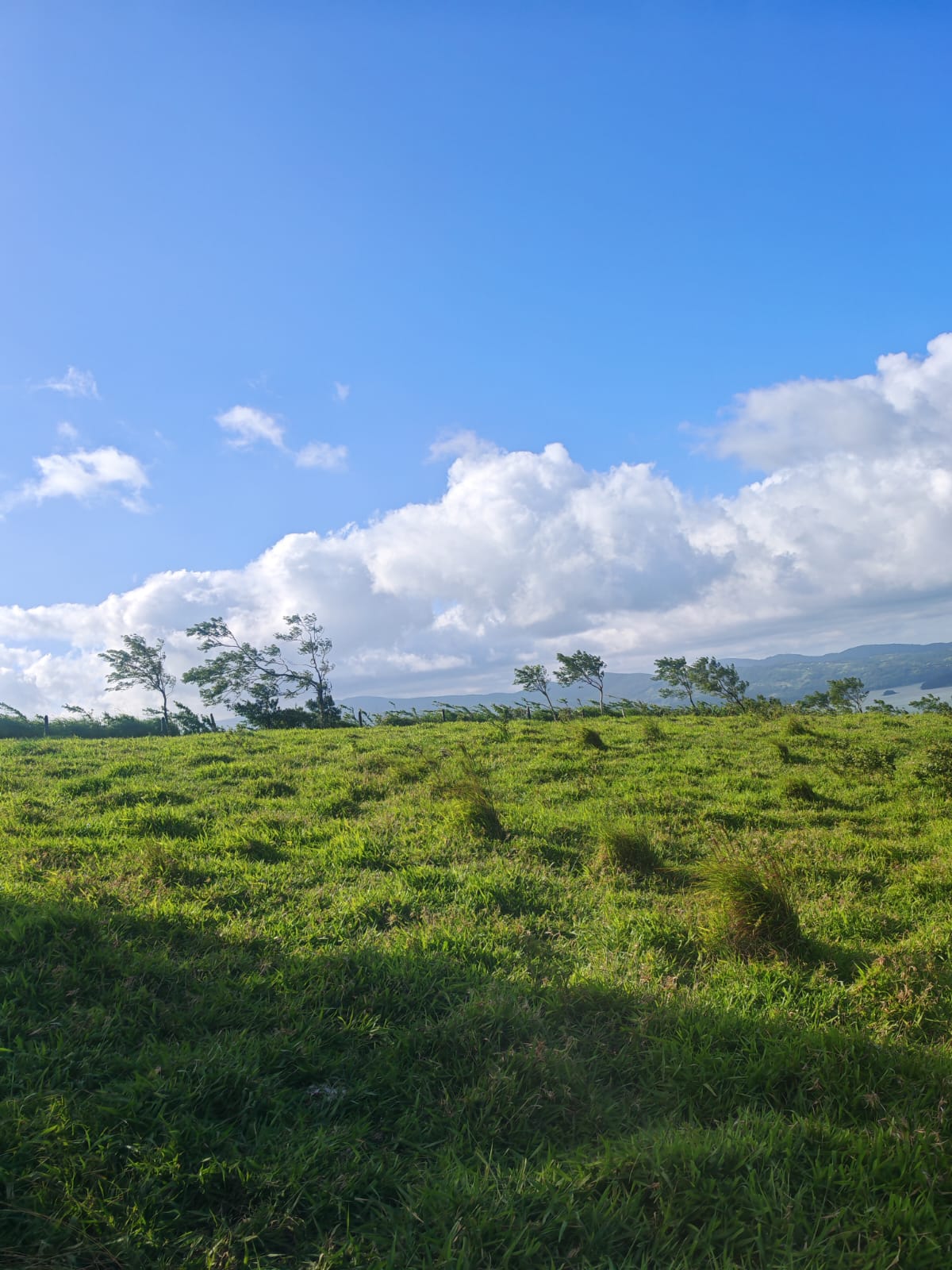 Beautiful Lot of 5642 m2 (1.39 Acre) with Lake View in San Luis 