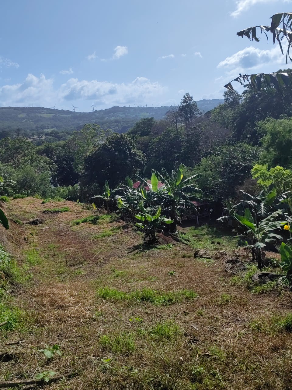Lovely1,903 m3 (0.47 Acre) Near Lake Arenal in  Tronadora